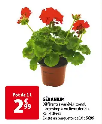 Auchan Géranium offre