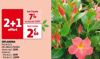 Auchan Dipladenia offre