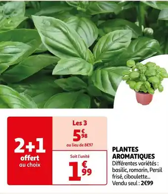 Auchan Supermarché Plantes aromatiques offre