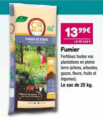 Point Vert Or brun fumier offre
