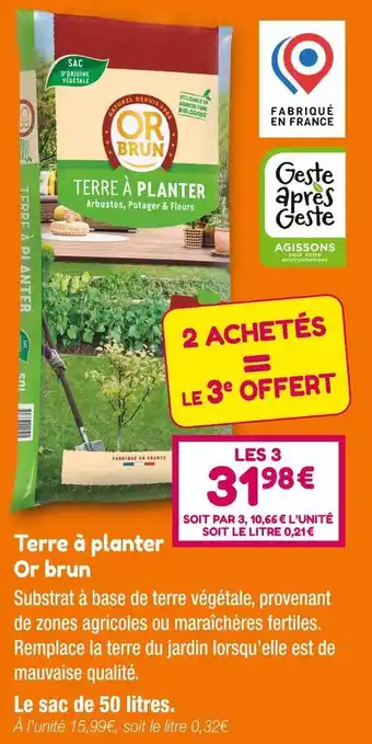 Point Vert Or brun terre à planter offre