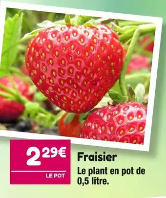 Point Vert Fraisier offre