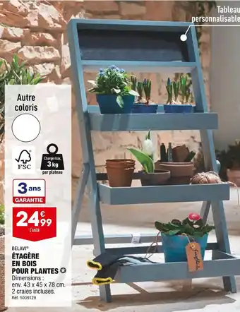 ALDI Belavi étagère en bois pour plantes offre