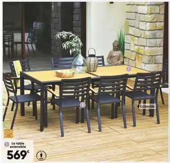 Bricorama Table extensible belize offre