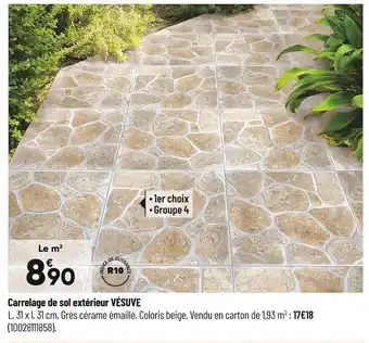 Bricorama Carrelage de sol extérieur vésuve offre