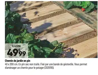Bricorama Chemin de jardin en pin offre
