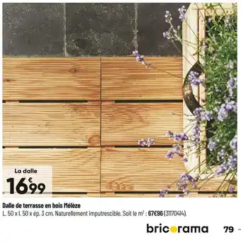 Bricorama Dalle de terrasse en bois mélèze offre