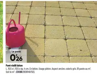 Bricorama Pavé vieilli béton offre