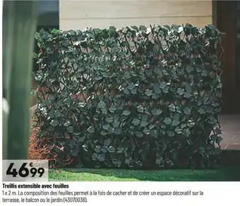 Bricorama Treillis extensible avec feuilles offre