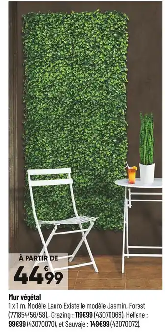 Bricorama Mur végétal offre