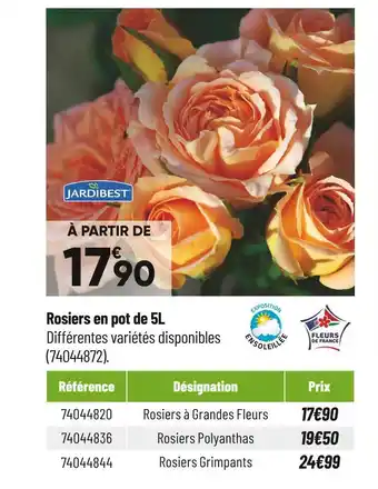 Bricorama Jardibest rosiers en pot de 5l offre