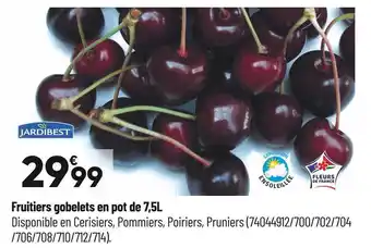 Fruitiers gobelets en pot de 7,5l