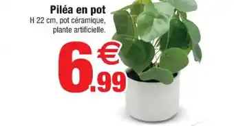 Bazarland Piléa en Pot offre