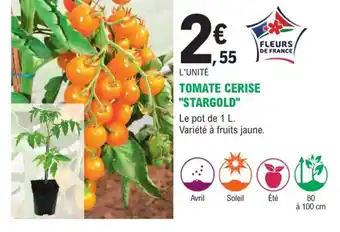 E.Leclerc Jardi Tomate Cerise Stargold offre