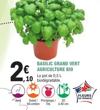 E.Leclerc Jardi Basilic Grand Vert Agriculture Bio offre