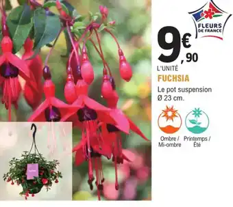 Fuchsia