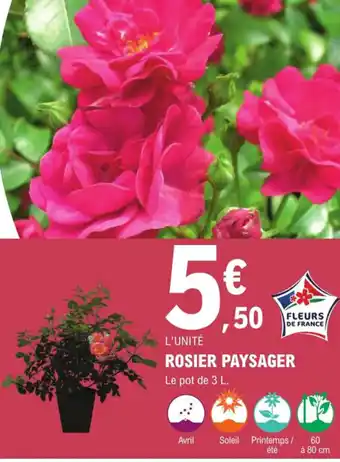 E.Leclerc Jardi Rosier Paysager offre