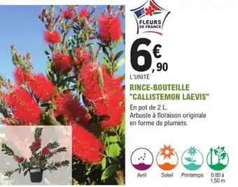 E.Leclerc Jardi Rince-Bouteille Callistemon Laevis offre