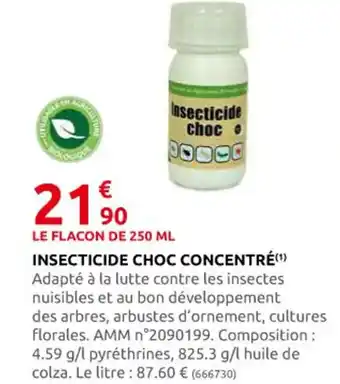 Insecticide Choc Concentré
