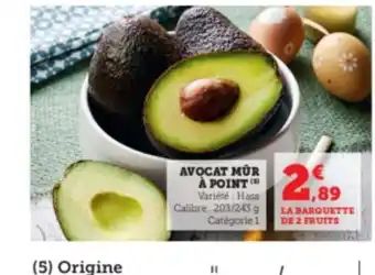 Avocat Mûr à Point