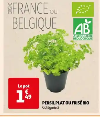 Auchan Persil plat ou frise bio offre