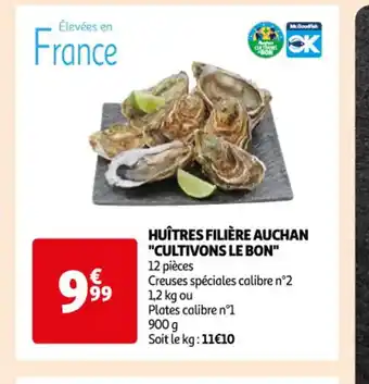 Auchan Huîtres filière auchan cultivons le bon offre