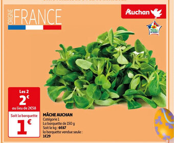 Auchan Mache auchan offre