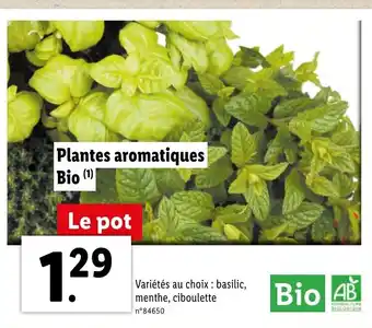 Lidl Plantes aromatiques bio offre