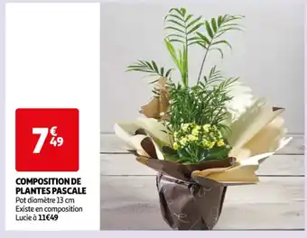 Auchan Composition de plantes pascale offre