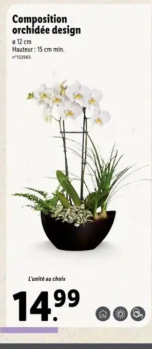 Lidl Composition orchidée design offre