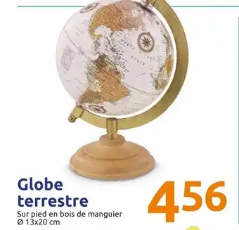 Action Globe terrestre offre
