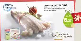 Gel 2000 Queues De Lotte De Chine offre