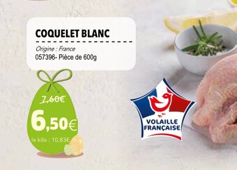 Gel 2000 Coquelet blanc offre