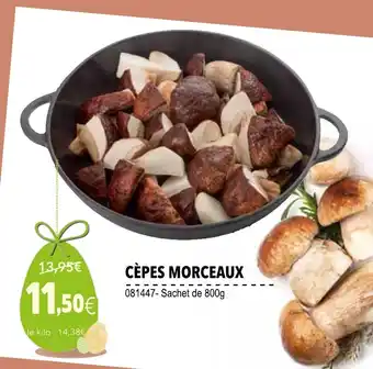 Gel 2000 Cépes Morceaux offre
