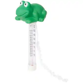 Action Thermomètre de piscine offre