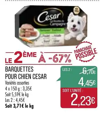 Match Barquettes pour chien Cesar offre
