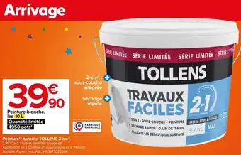Castorama Tollens peinture** blanche 2-en-1 offre