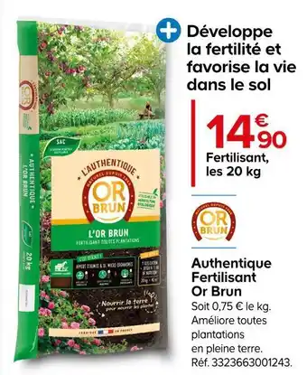 Castorama Or brun authentique fertilisant offre