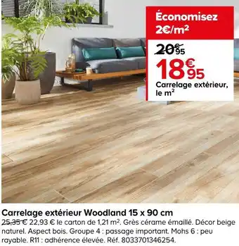 Castorama Carrelage extérieur woodland 15 x 90 cm offre