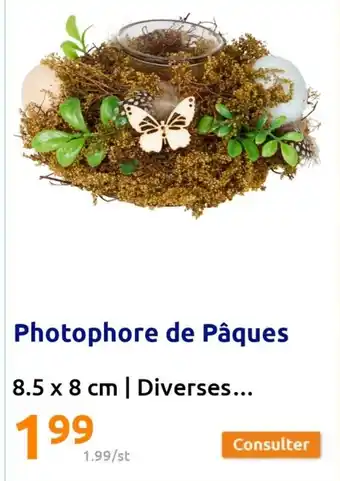 Action Photophore de paques offre