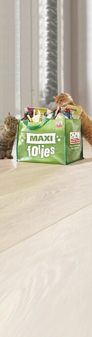 Maxi Zoo Bon Plan sur alimentation ou equipement chat offre