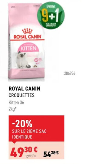 Tom&Co Royal canin croquettes offre