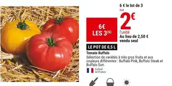Tomate buffalo