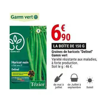 Gamm vert Gamm vert graines de haricots delinel offre
