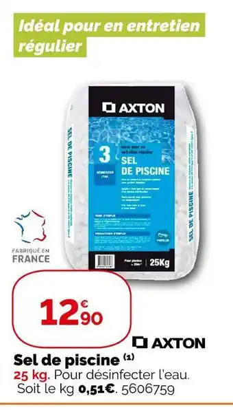Weldom Axton sel de piscine offre