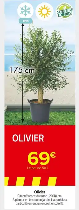 Carrefour Market Olivier offre