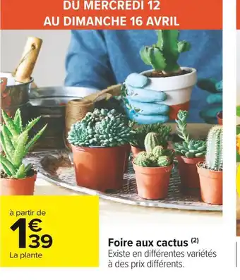 Carrefour Market Foire aux cactus offre