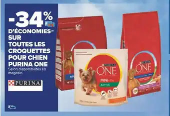 Carrefour D'économies Sur Toutes Les Croquettes Pour Chien Purina One offre