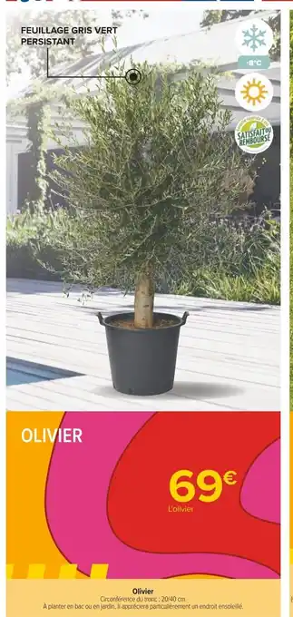 Carrefour Olivier offre