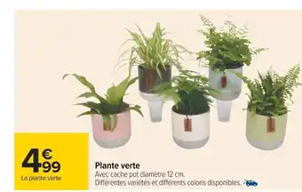 Carrefour Plante Verte offre